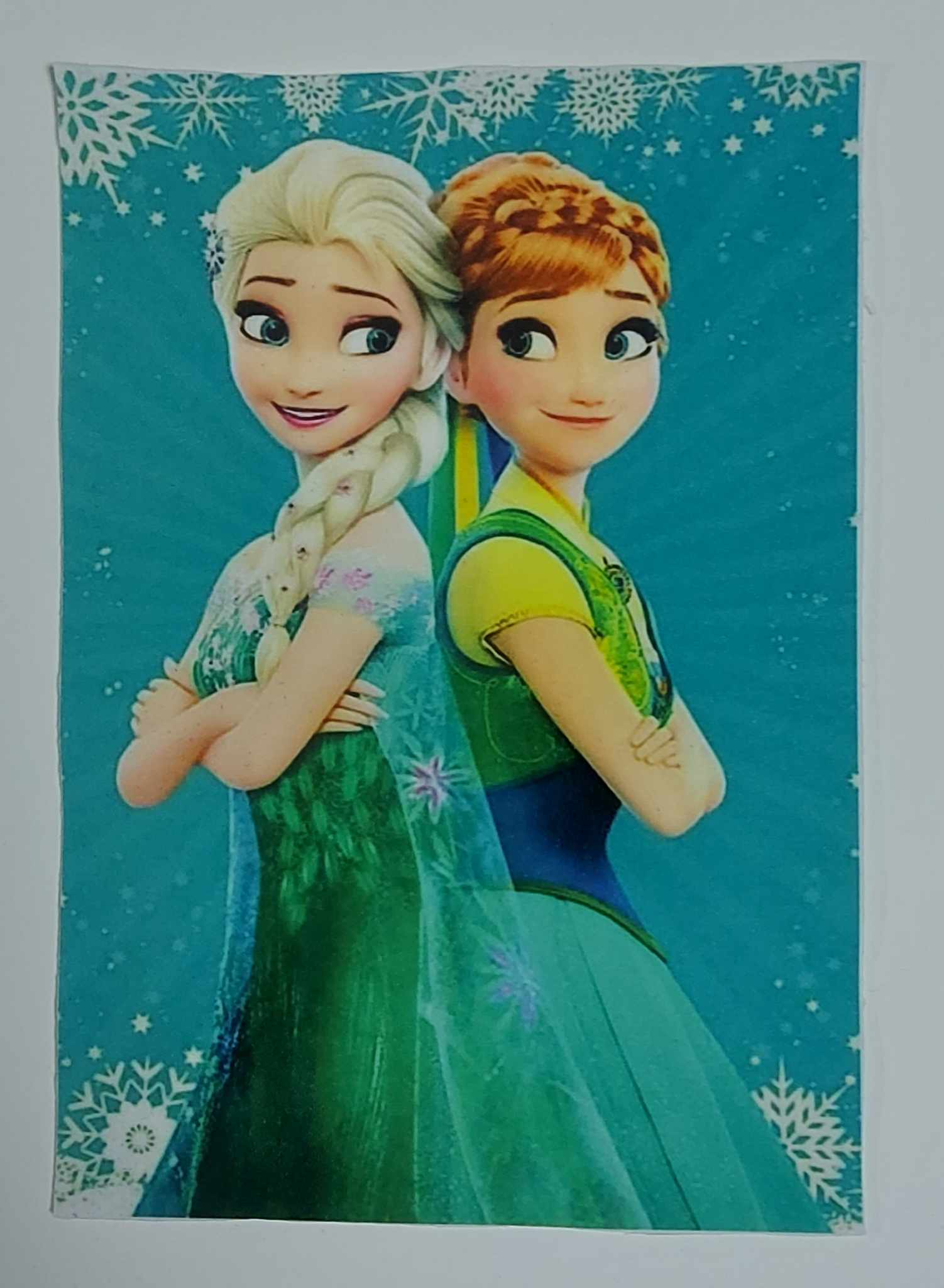 Sofftshelový panel 14cm x 20cm ,Elsa a Anna