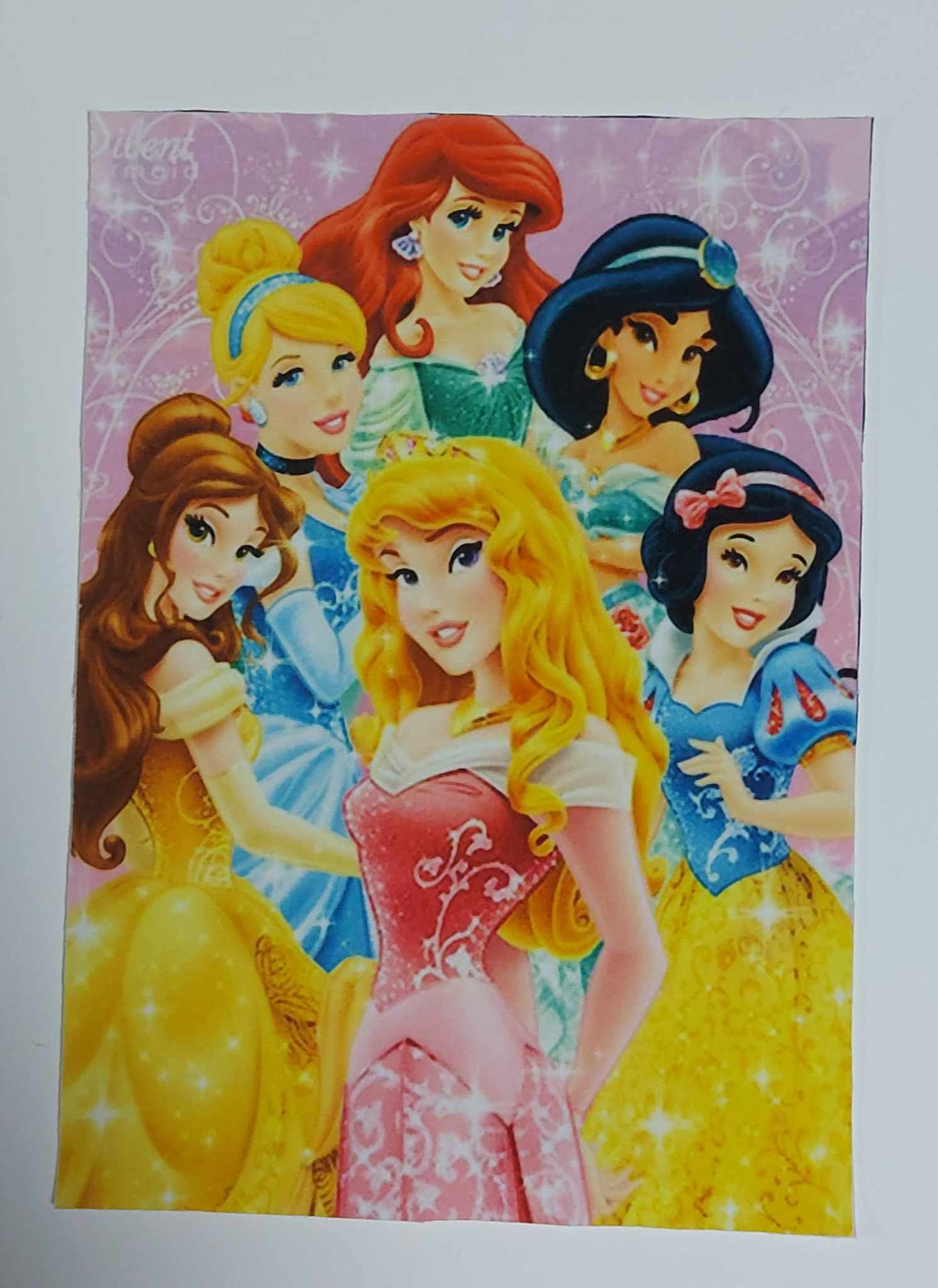 Sofftshelový panel 14cm x 20cm ,princezny 1