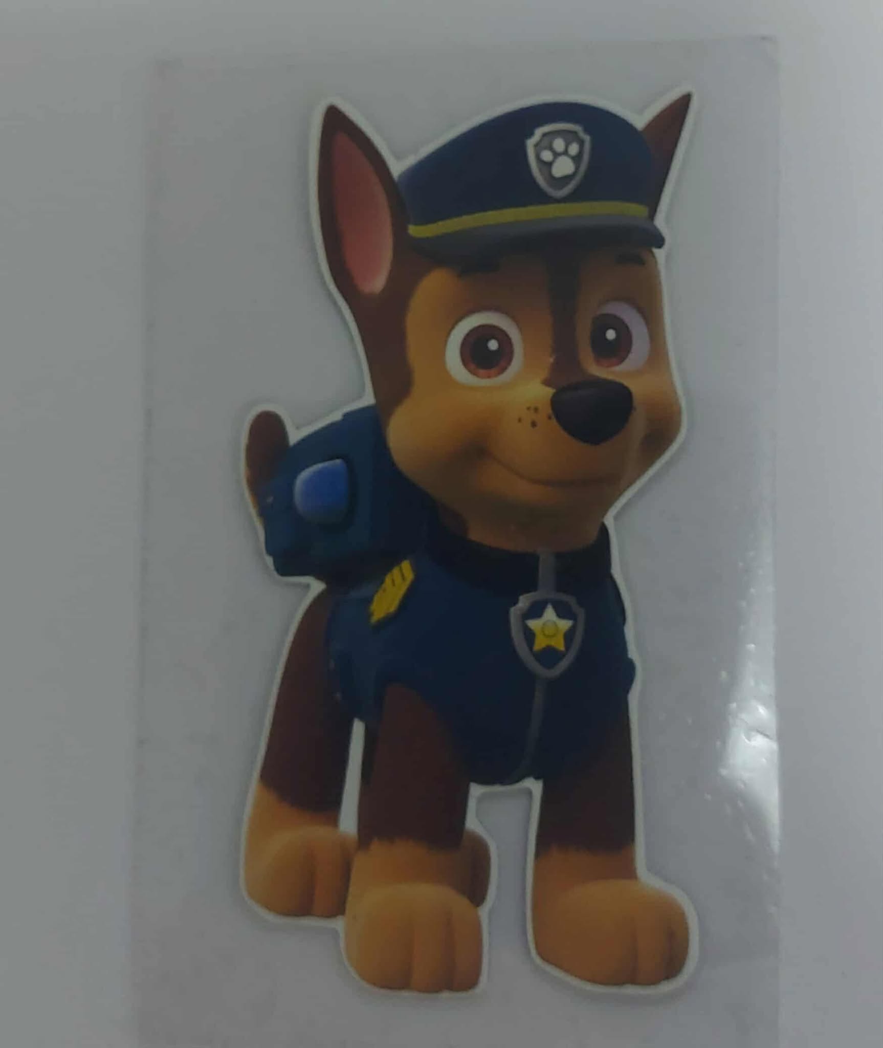 Nažehlovací aplikace - pes