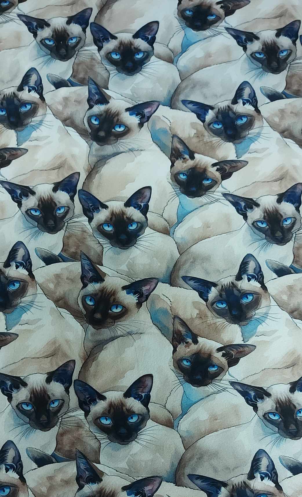 Teplákovina - kočička