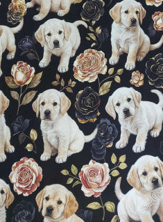 Teplákovina - Malé štěně 