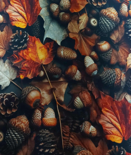 Teplákovina - Podzim